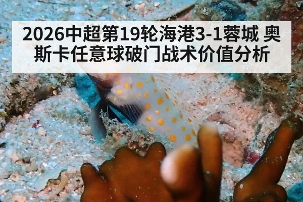 2026中超第19轮海港3-1蓉城 奥斯卡任意球破门战术价值分析 | FIFA 2026