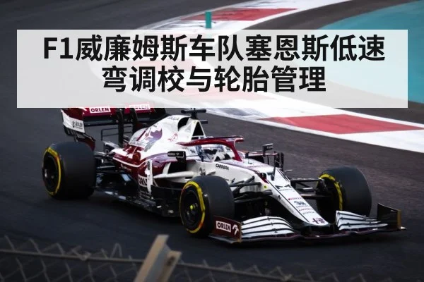 F1威廉姆斯车队塞恩斯低速弯调校与轮胎管理