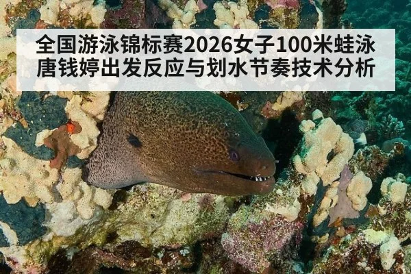 全国游泳锦标赛2026女子100米蛙泳唐钱婷出发反应与划水节奏技术分析